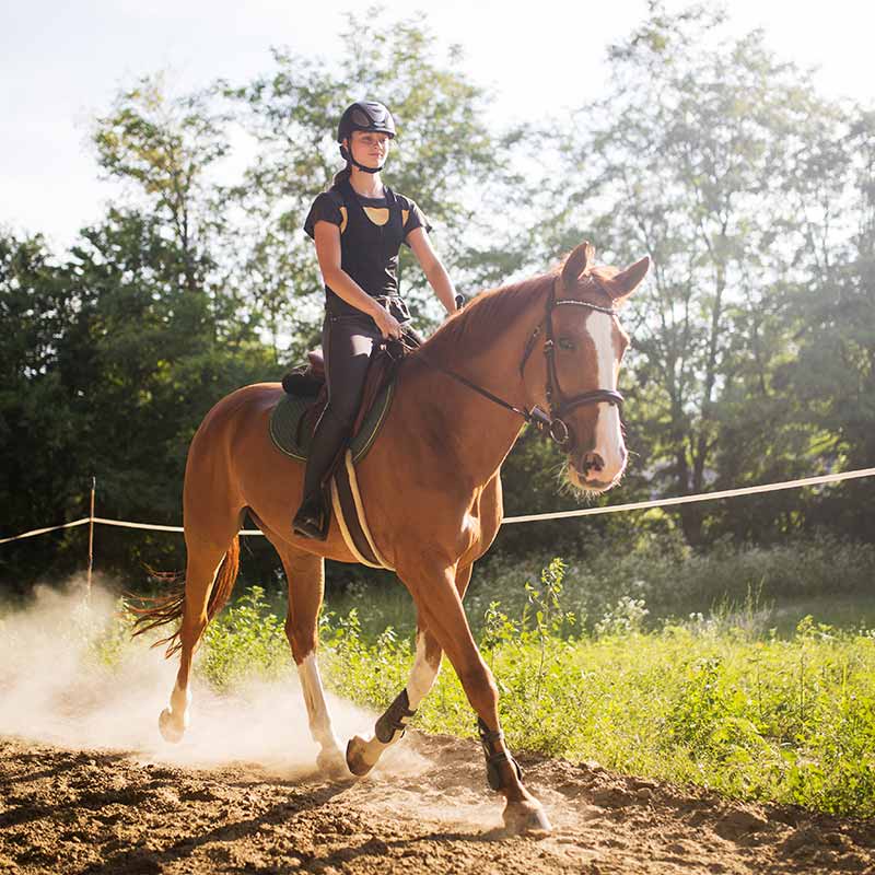 Reiten Partschins